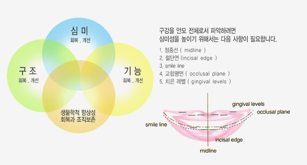 심미치과센터